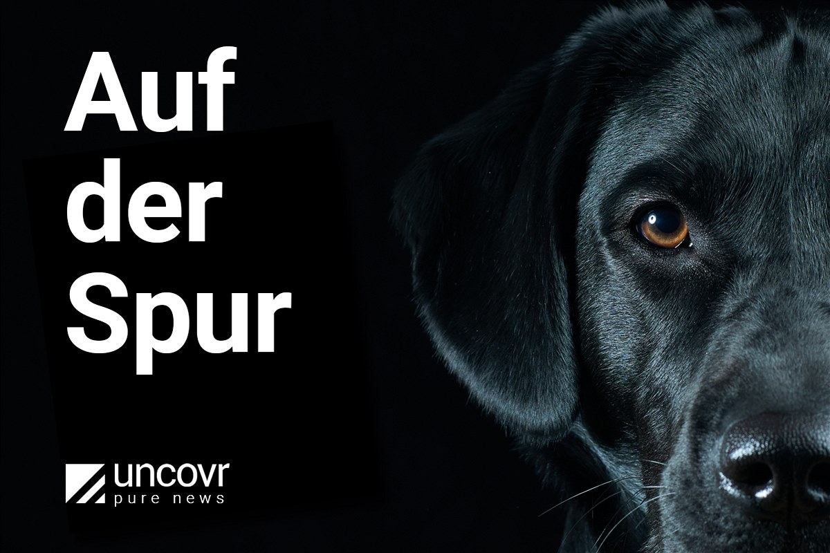 uncovr_images_Hund